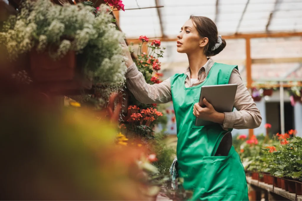 Green-apron gardener inspects blooming greenhouse plants with tablet, checking plant health and growth